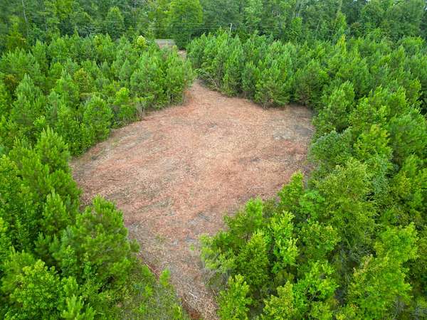 7.78 Acres of Residential Land for Sale in Goshen, Alabama