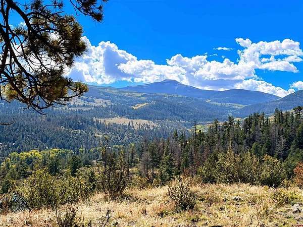 6.76 Acres of Residential Land for Sale in South Fork, Colorado