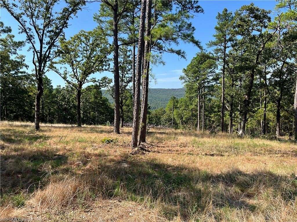 69 Acres of Recreational & Residential Land for Sale in Talihina, Oklahoma