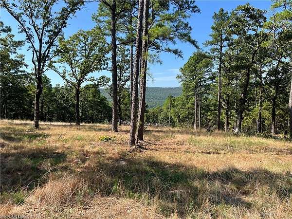 69 Acres of Recreational & Residential Land for Sale in Talihina, Oklahoma