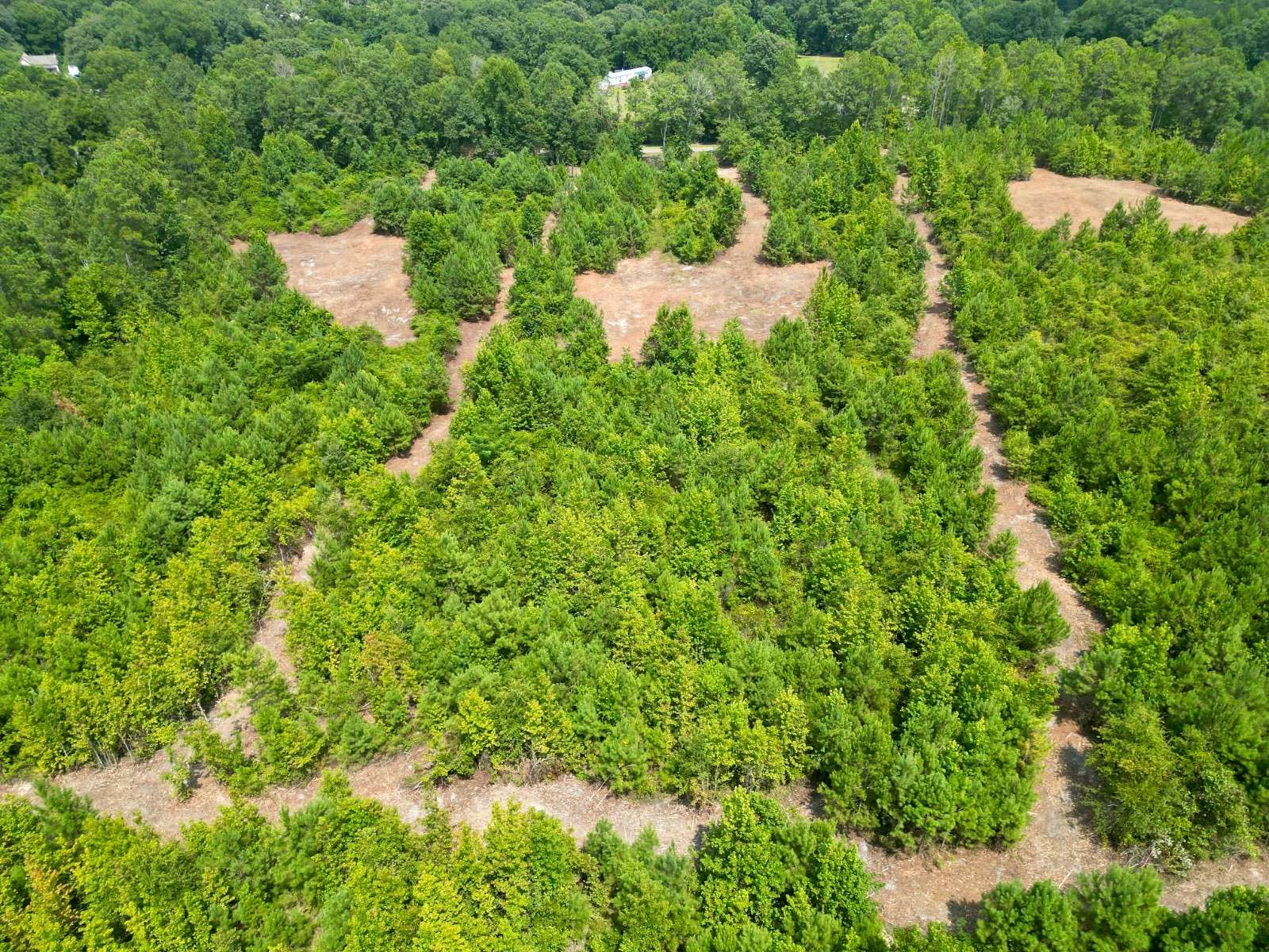 3 Acres of Residential Land for Sale in Goshen, Alabama
