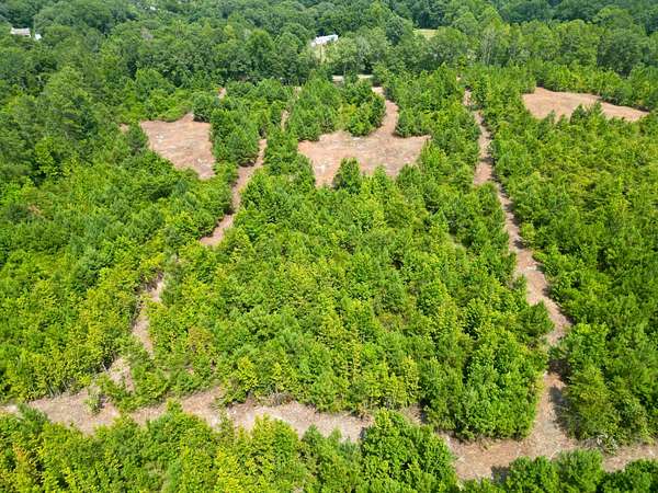 3 Acres of Residential Land for Sale in Goshen, Alabama