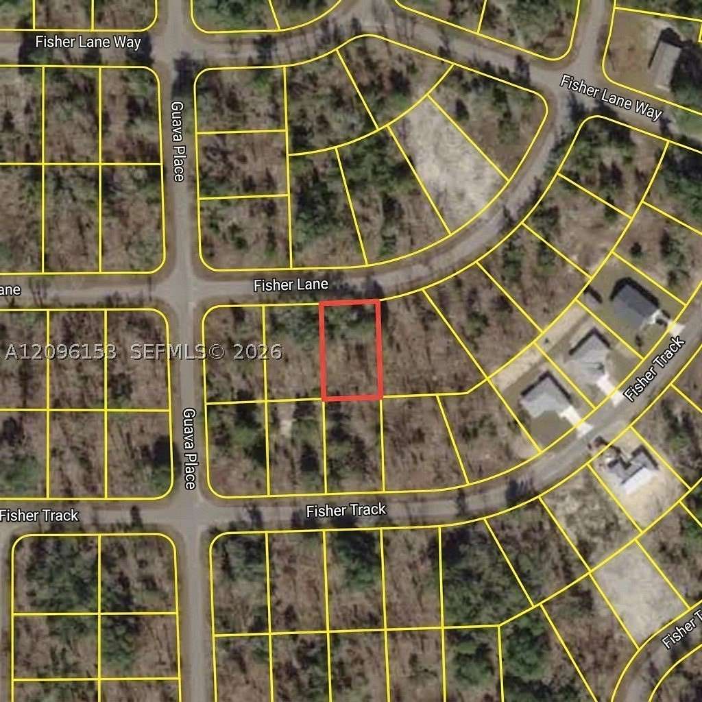 0.24 Acres of Land for Sale in Ocklawaha, Florida