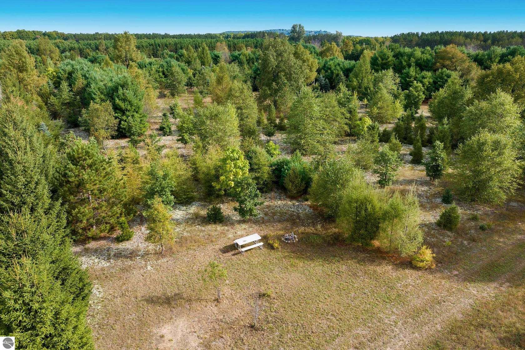 9.75 Acres of Residential Land for Sale in Thompsonville, Michigan