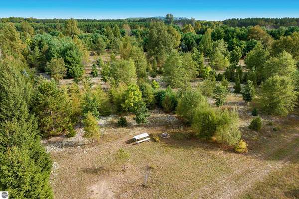 9.75 Acres of Residential Land for Sale in Thompsonville, Michigan