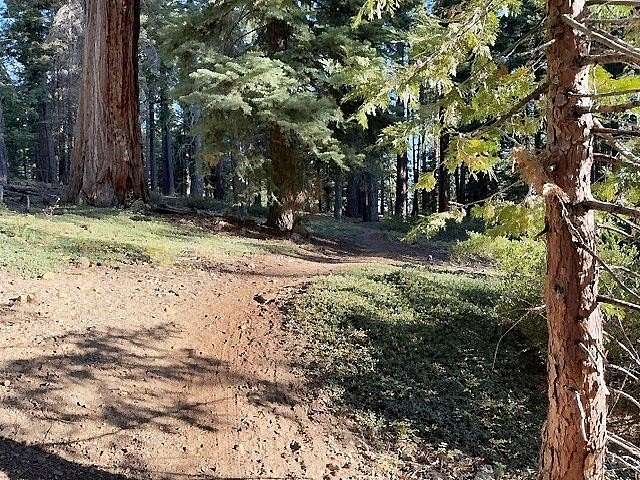 0.26 Acres of Residential Land for Sale in Tahoe City, California