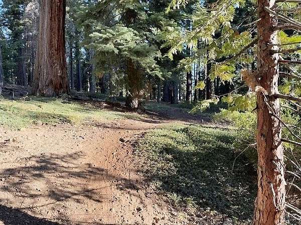 0.26 Acres of Residential Land for Sale in Tahoe City, California