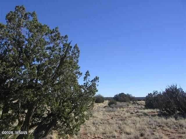 36.5 Acres of Land for Sale in Heber, Arizona