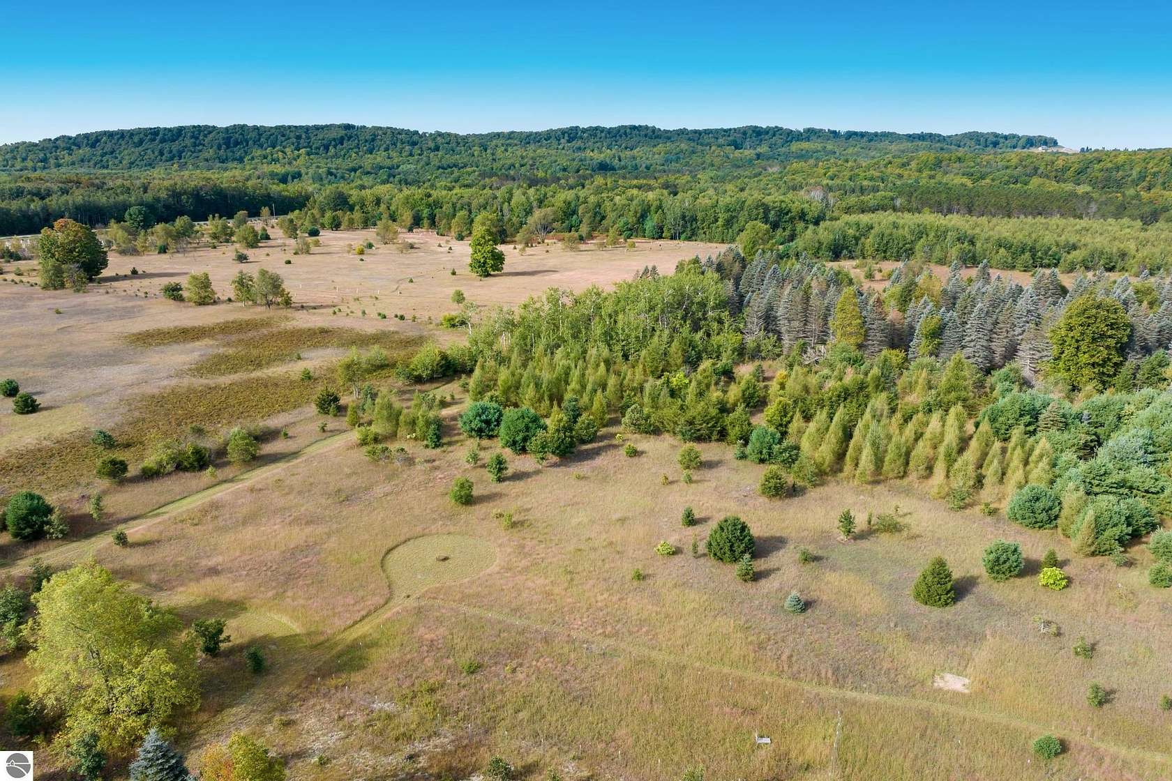 9.75 Acres of Residential Land for Sale in Thompsonville, Michigan