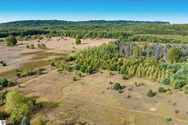 9.75 Acres of Residential Land for Sale in Thompsonville, Michigan