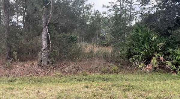 1.24 Acres of Residential Land for Sale in Orlando, Florida