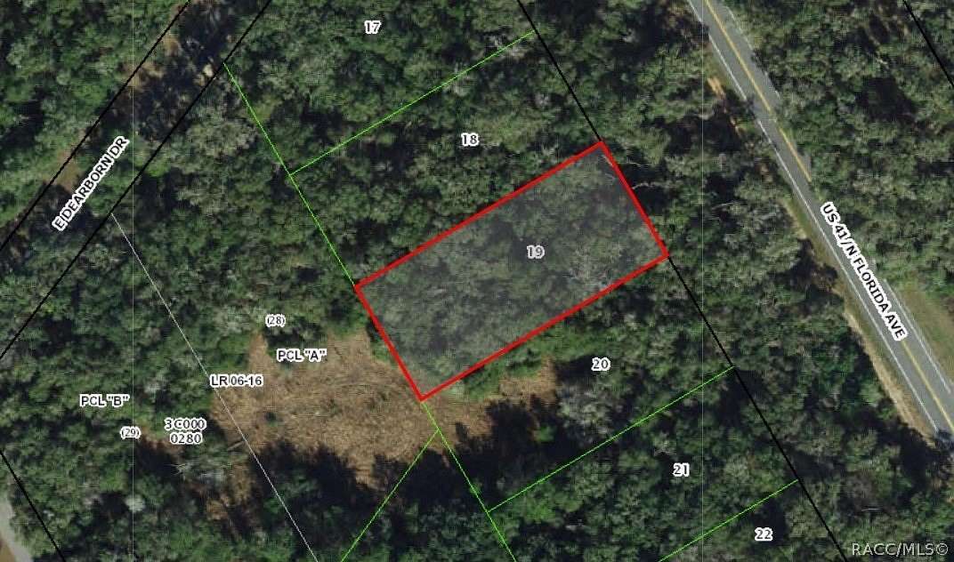 0.51 Acres of Land for Sale in Hernando, Florida