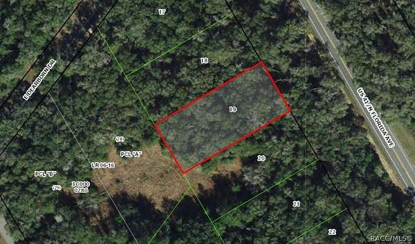 0.51 Acres of Land for Sale in Hernando, Florida