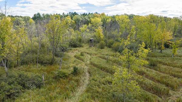 40 Acres of Recreational Land for Sale in New London, Wisconsin