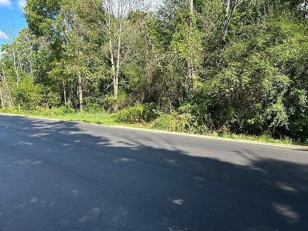 26.8 Acres of Recreational & Residential Land for Sale in Newaygo, Michigan
