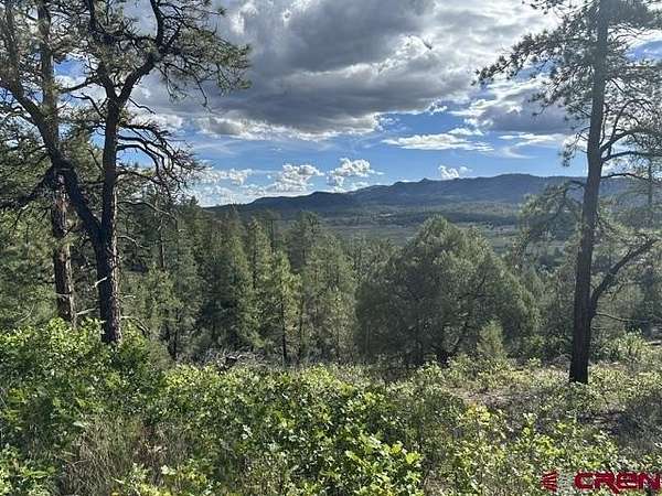 4.8 Acres of Residential Land for Sale in Pagosa Springs, Colorado
