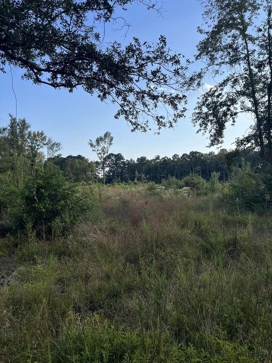27 Acres of Recreational Land for Sale in Moncks Corner, South Carolina