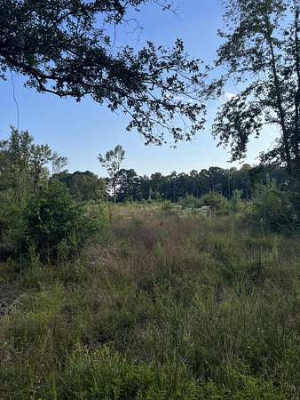 27 Acres of Recreational Land for Sale in Moncks Corner, South Carolina