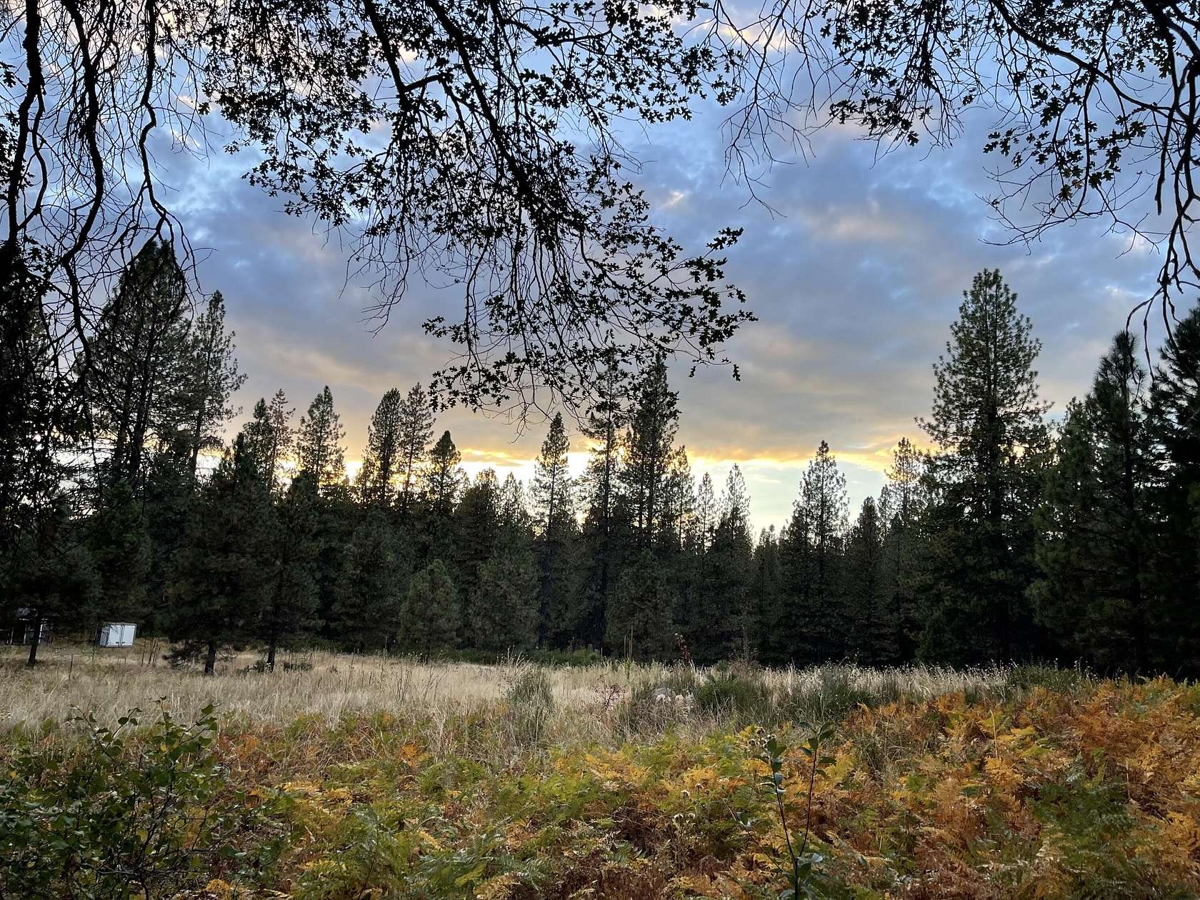 3 Acres of Residential Land for Sale in McCloud, California