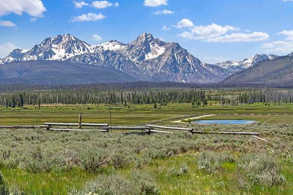 52.8 Acres of Recreational Land with Home for Sale in Stanley, Idaho