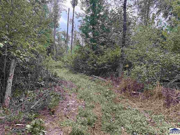 136 Acres of Recreational Land for Sale in Patricksburg, Indiana