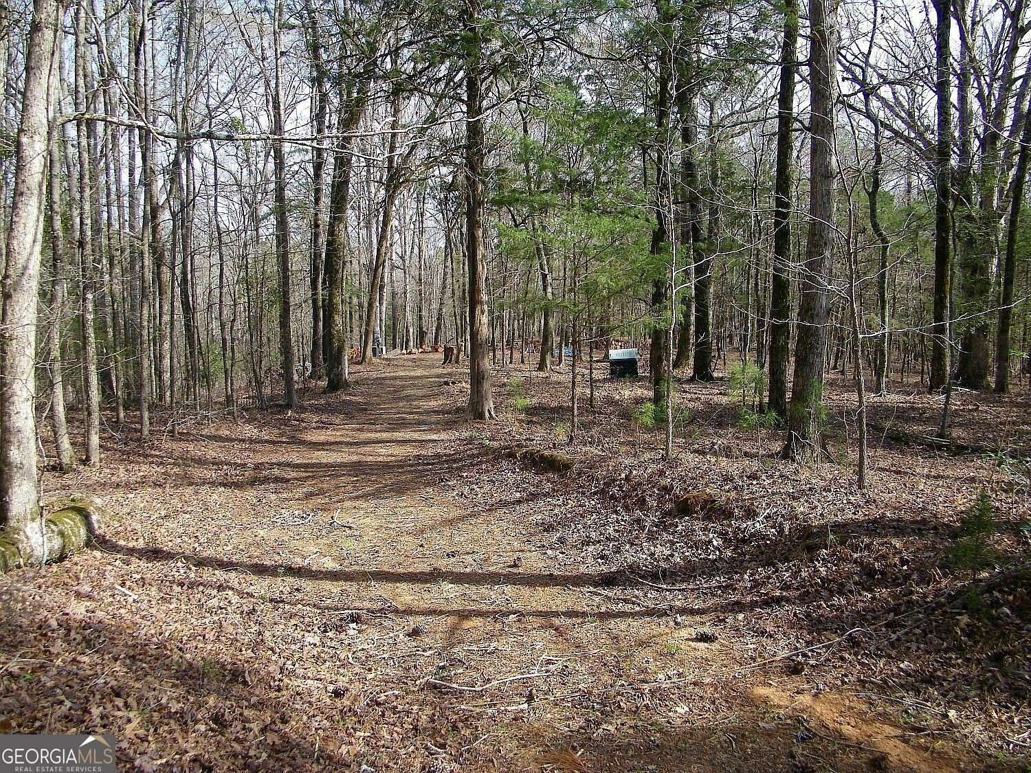 3.35 Acres of Residential Land for Sale in Elberton, Georgia