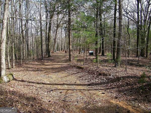 3.35 Acres of Residential Land for Sale in Elberton, Georgia