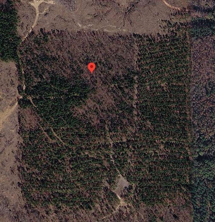 20 Acres of Land for Sale in Queen City, Texas