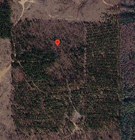 20 Acres of Land for Sale in Queen City, Texas
