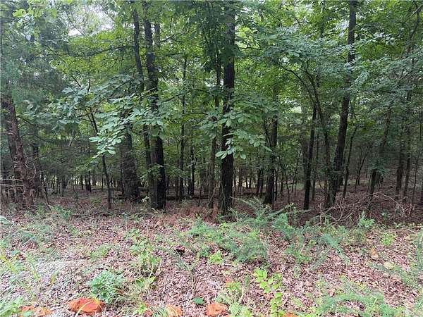 2 Acres of Residential Land for Sale in Goshen, Arkansas