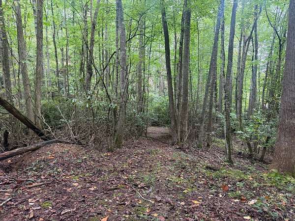 0.86 Acres of Residential Land for Sale in Elk Park, North Carolina