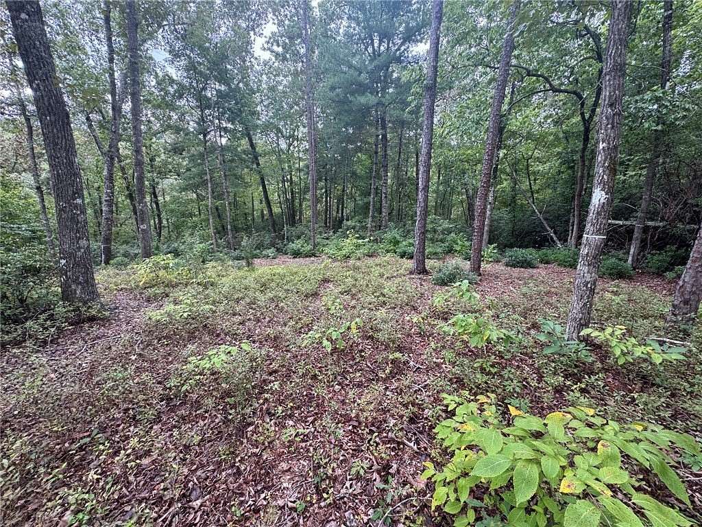 5 Acres of Land for Sale in Salem, South Carolina