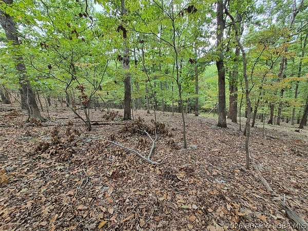 0.32 Acres of Residential Land for Sale in Lake Ozark, Missouri