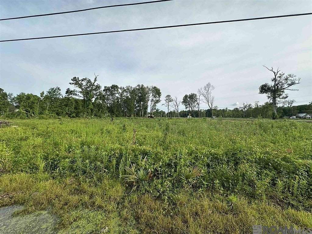 1 Acre of Residential Land for Sale in Gonzales, Louisiana