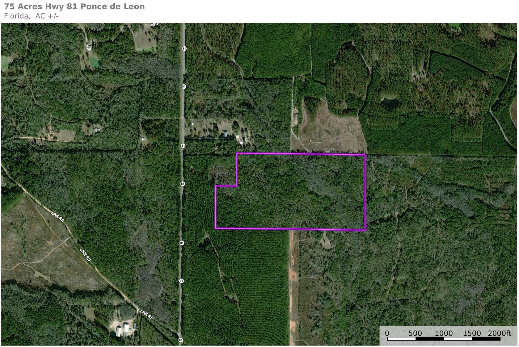 75 Acres of Recreational Land for Sale in Ponce de Leon, Florida