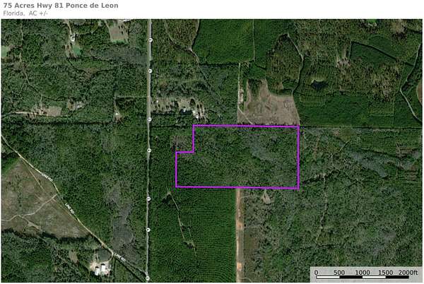 75 Acres of Recreational Land for Sale in Ponce de Leon, Florida