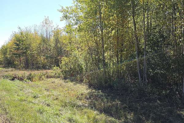 6.54 Acres of Residential Land for Sale in Winter, Wisconsin