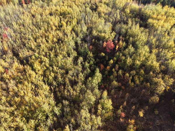 6.54 Acres of Residential Land for Sale in Winter, Wisconsin