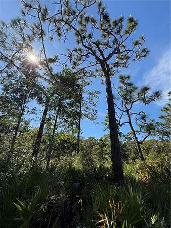 0.23 Acres of Residential Land for Sale in Orlando, Florida