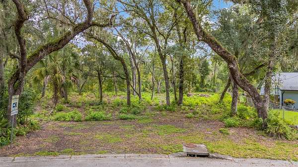 0.27 Acres of Residential Land for Sale in Temple Terrace, Florida