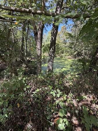 22 Acres of Recreational Land for Sale in Bardwell, Kentucky
