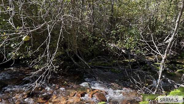 1 Acre of Residential Land for Sale in North Fork, Idaho
