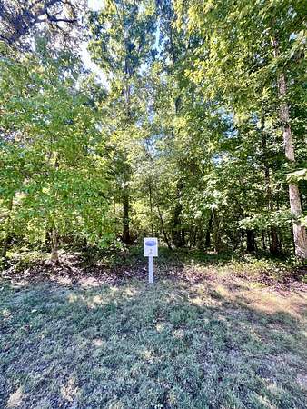 2 Acres of Residential Land for Sale in Spring City, Tennessee