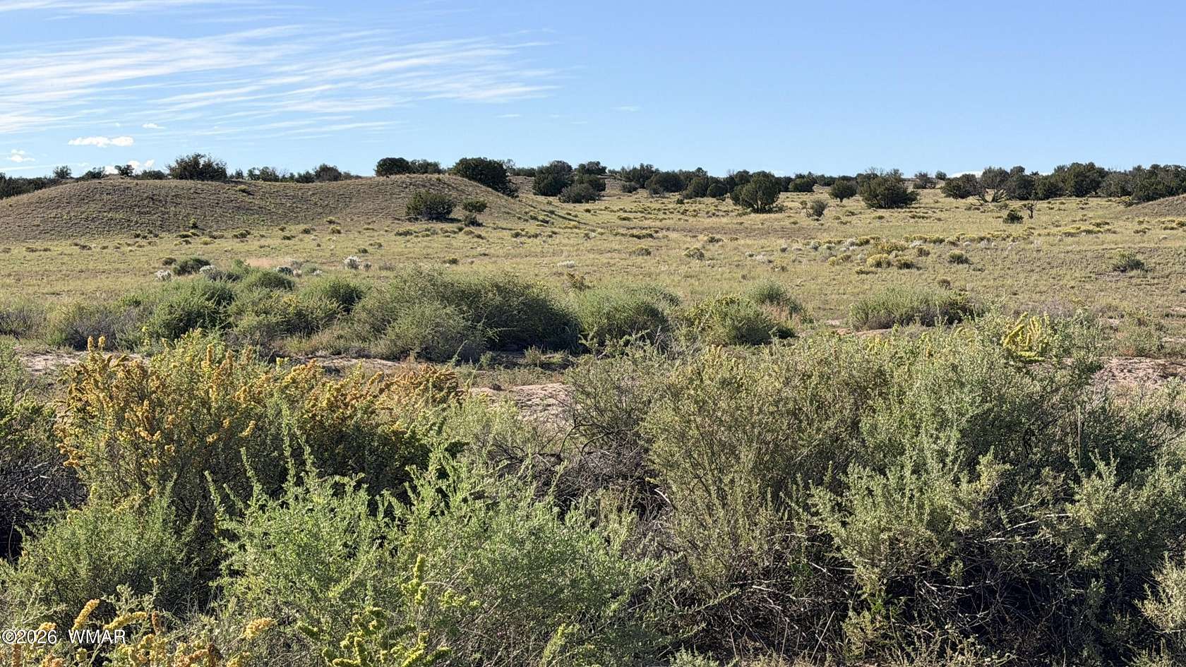 36.2 Acres of Land for Sale in St. Johns, Arizona