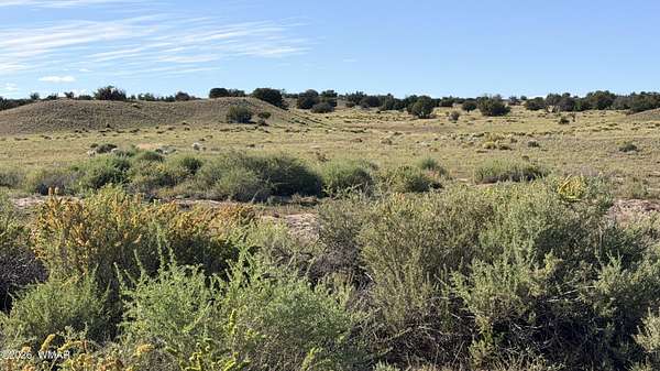 36.2 Acres of Land for Sale in St. Johns, Arizona