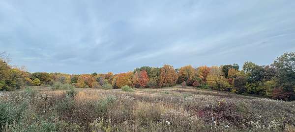 50 Acres of Land with Home for Sale in Marcellus, Michigan