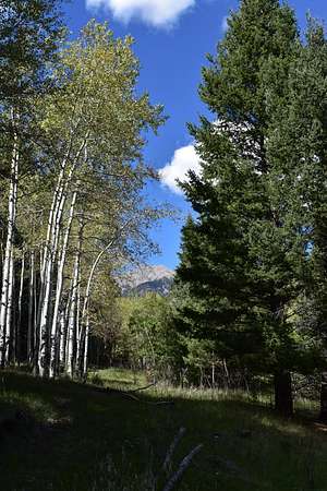 93 Acres of Land for Sale in Aguilar, Colorado