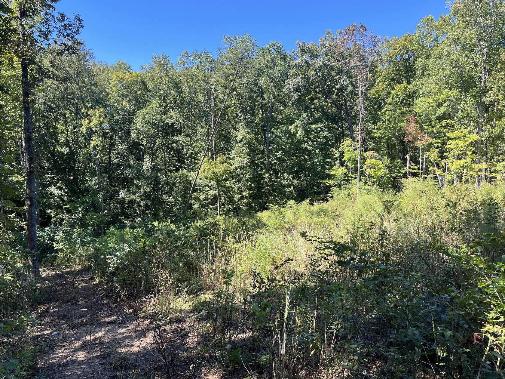 0.71 Acres of Residential Land for Sale in Harriman, Tennessee