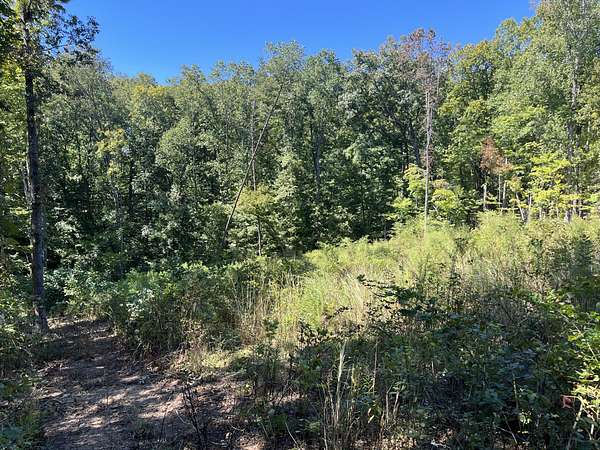 0.71 Acres of Residential Land for Sale in Harriman, Tennessee