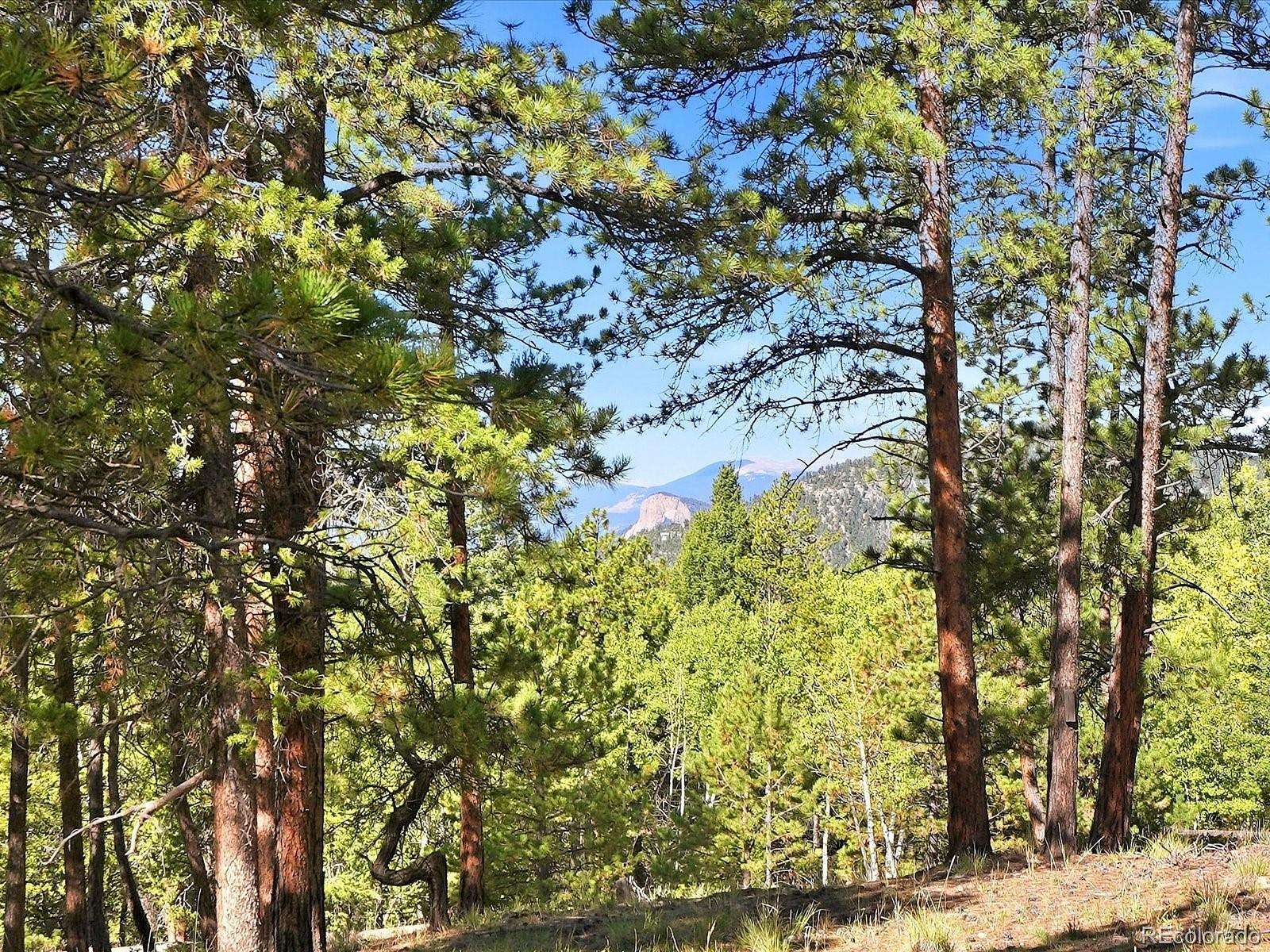 14.3 Acres of Land for Sale in Conifer, Colorado